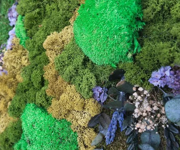 Apartament Home2book El Perenquen 2, Palmas